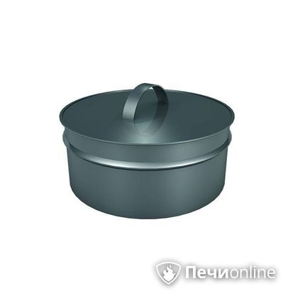 Заглушки Теплов и Сухов Заглушка ревизии Термо-Р 304 0.5 D220(120) в Верхней Пышме